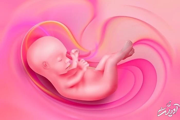 عوارض دارچین در بارداری سقط جنین با دارچین